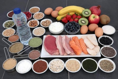 Eine Reihe an Lebensmitteln sind nebeneinander aufgelegt, unter anderem Fleisch oder Fisch mit Kreatin.