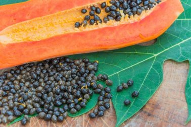 6 Heilmittel gegen Parasitenbefall