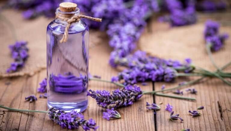 Augenringe mit ätherischen Ölen: Lavendel