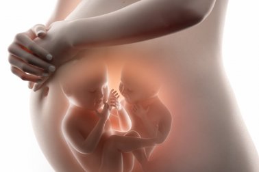 Was ist der Unterschied zwischen eineiigen und zweieiigen Zwillingen?