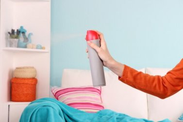 5 Tipps zur Beseitigung von muffigem Geruch in geschlossenen Räumen