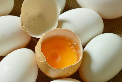 Anhand des Eiweißes testen ob ein Ei frisch ist