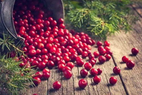 Cranberries im Eimer