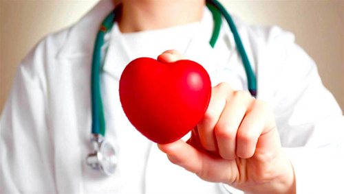 Warum Laufen die Gesundheit von Herz und Blutgefäßen fördert