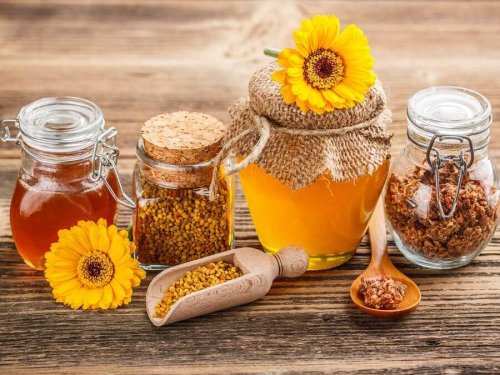 Propolis hilft gegen Parasiten im Darm