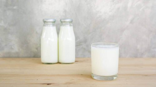 Ein Glas voller Molkenprotein und dahinter zwei Flaschen, die gefüllt sind mit Molkenprotein-Shakes.
