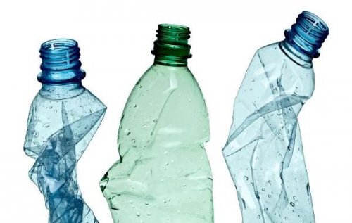 Plastikflaschen als Blumentöpfe recyceln