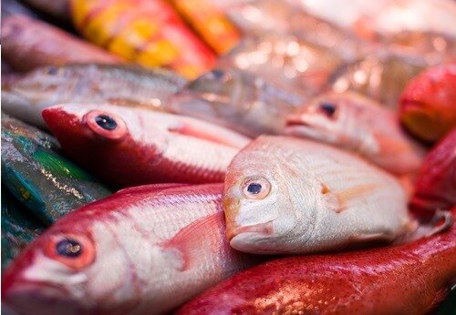 Quecksilber belasteter Fisch