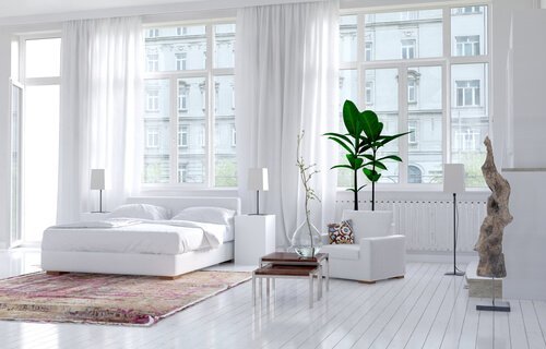 Welche Hauspflanzen sind geeignet?