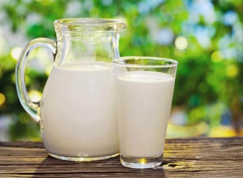 Rohmilch kann Bakterien enthalten