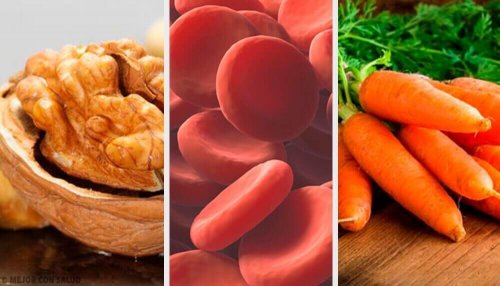 Tipps für mehr rote Blutkörperchen
