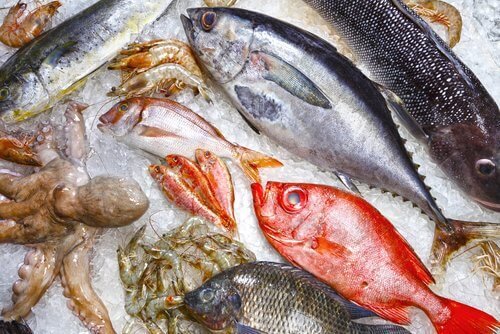 Süßwasserfisch kann deine Gesundheit gefährden