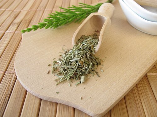 Abnehmen mit Schachtelhalm