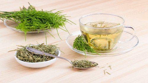 ein Aufguss mit Schachtelhalm hat positive Auswirkungen auf deine Gesundheit