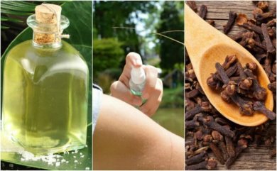 Die 5 besten selbstgemachten Insektenschutzmittel