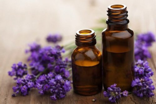 In kleine Flaschen abgefüllter Lavendel.