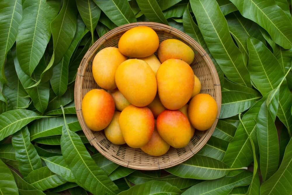 Mango gegen Verstopfung
