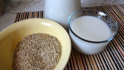Milch aus Kanariengras und Zimt