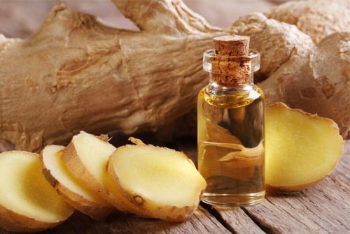 Präparat aus Ingwer und Olivenöl, um Schmerzen zu lindern