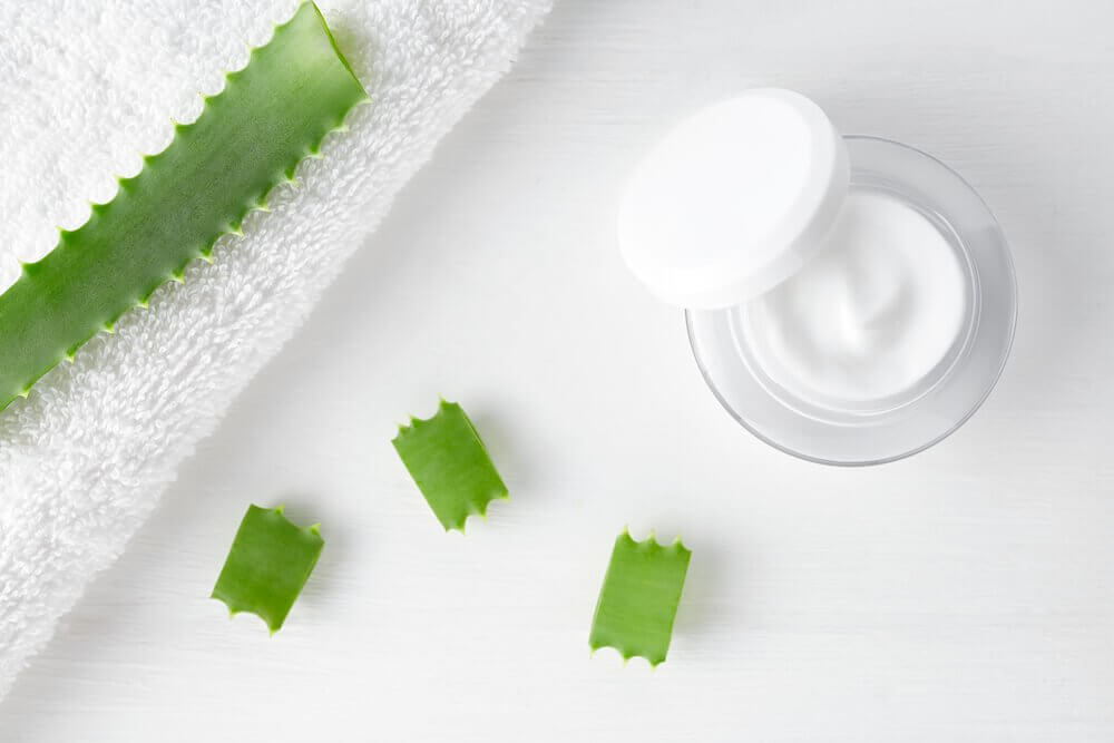 Regenerierende Hautcreme mit Aloe vera einfach selbst zubereiten!