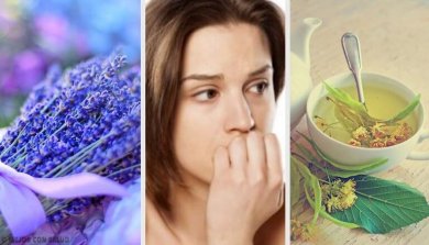 Natürliche Anxiolytika gegen Angstzustände