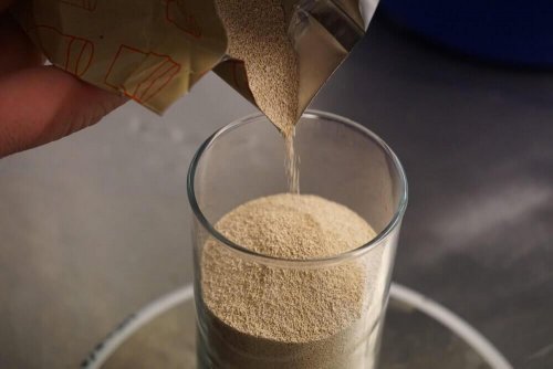 Bierhefe für deine Schönheit