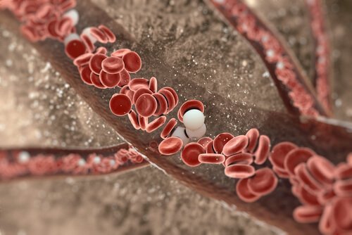 Nahrungsmittel für gesunde Arterien
