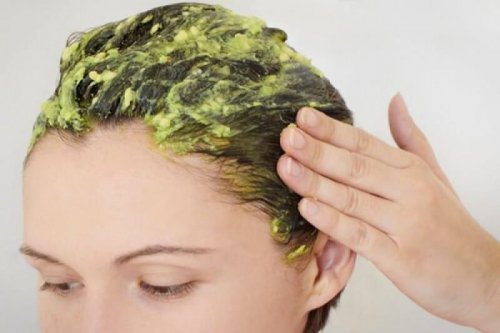 Haarmaske mit Avocado
