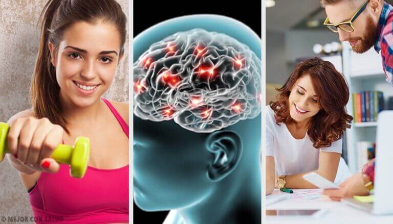 8 Tipps aus der Neurobiologie, die dich glücklich machen