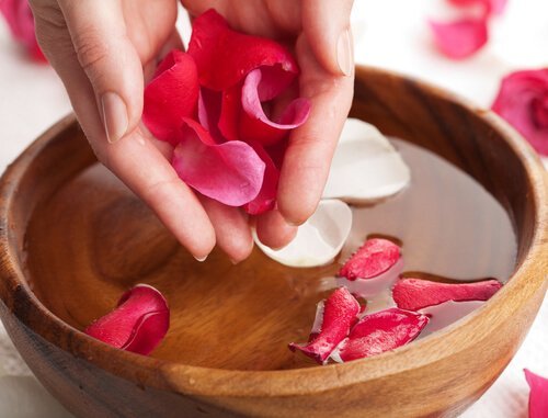 Diese natürlichen Tonika bringen dein Gesicht zum Strahlen: Tonikum mit Rosenwasser