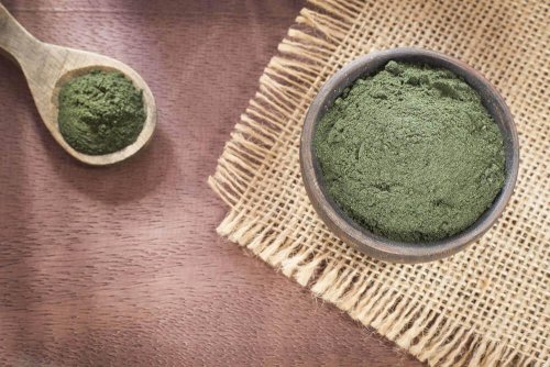Spirulina hilft in Pulverform, hier in einer Schüssel.