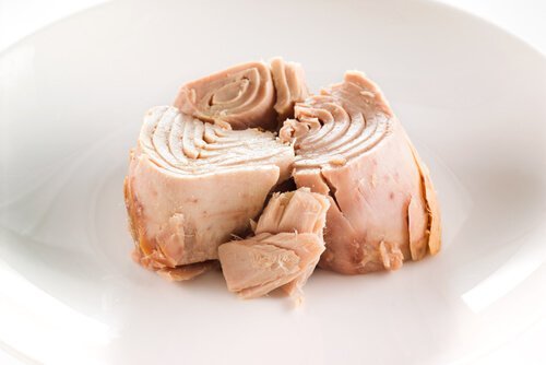 Thunfisch ist lecker und gesund