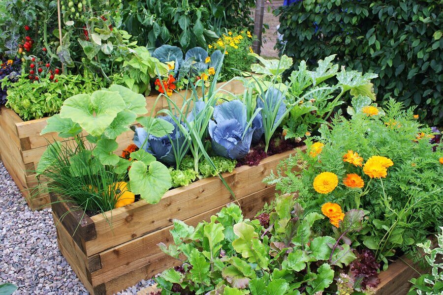 Blumen- und Gartendesign: interessante Ideen