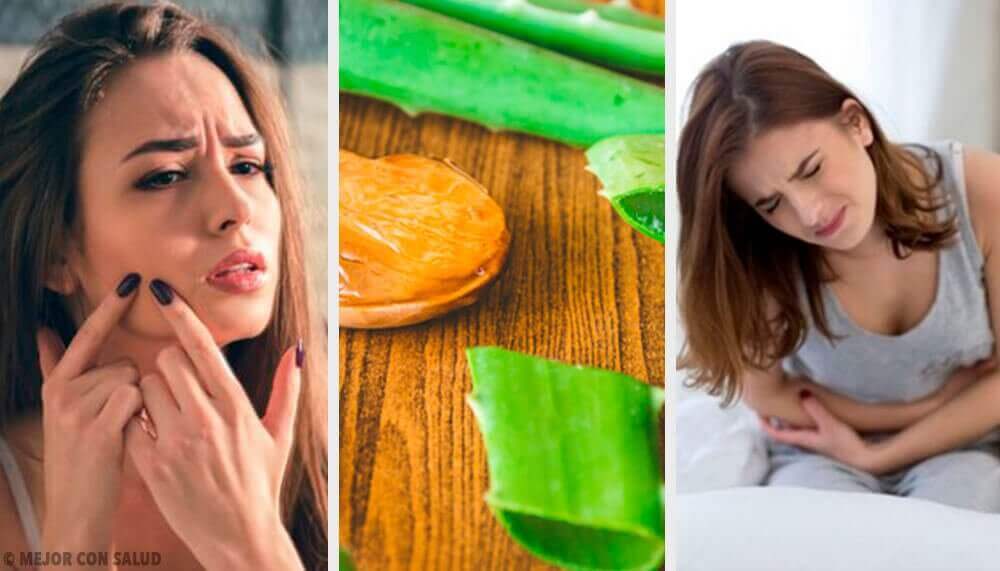 6 pflegende Eigenschaften der Aloe vera