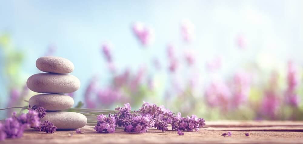 Gegen Stress ist so manches Kraut gewachsen >> 7 Tipps