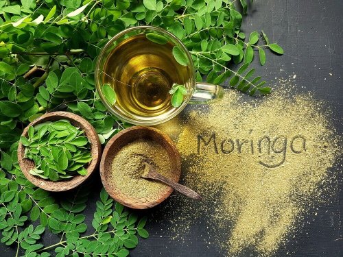 Moringa Oleifera