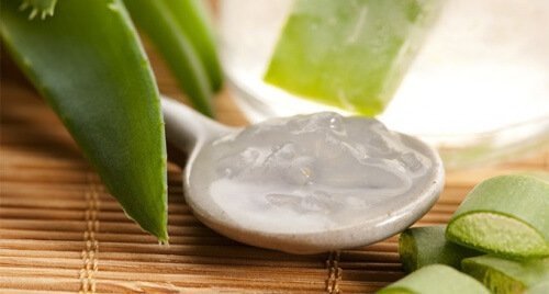 Aloe Vera Pflanze und Gel
