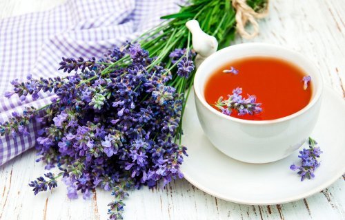 Lavendel