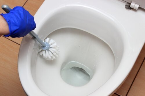 Hand putzt Toilette