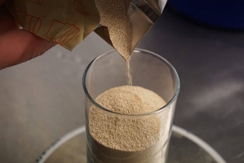 Bierhefe wird in ein Glas geschüttet
