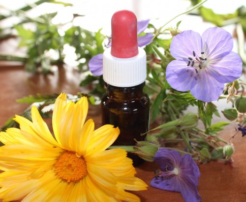 Naturmedizin für die Aromatherapie