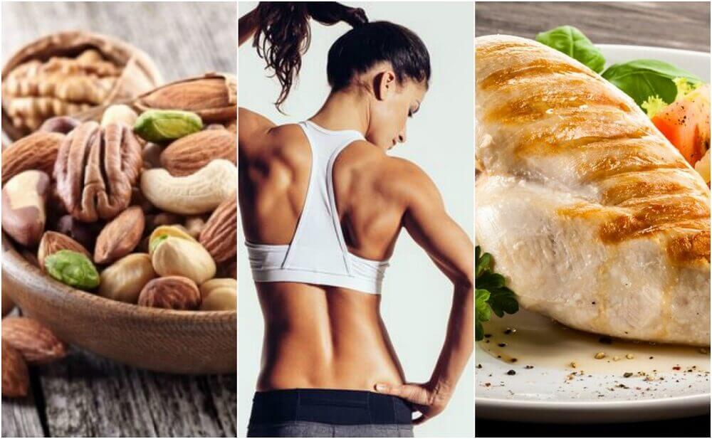 Ernährungsplan für einen optimalen Muskelaufbau