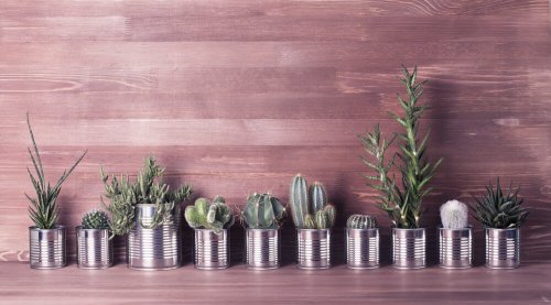 Kreatives Upcycling von Konservendosen