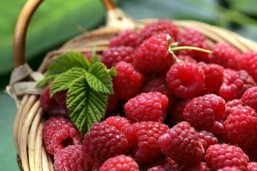 Waldbeeren
