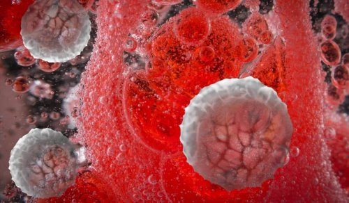 Abbildung von Molekühlen im Körper, um zu zeigen, dass Hormone mittels Bewegung beeinflusst werden.
