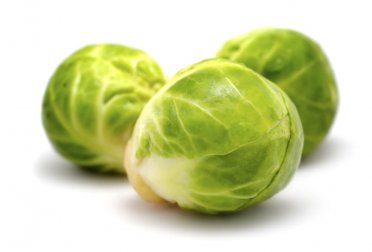 Rosenkohl mit Zucchinicreme einfach zubereitet