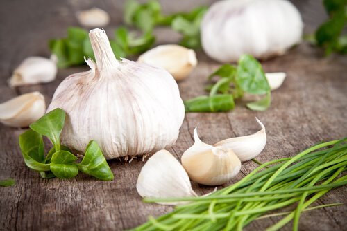 Ganze Knoblauchknolle