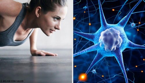 Wie man Hormone mittels Bewegung regulieren kann