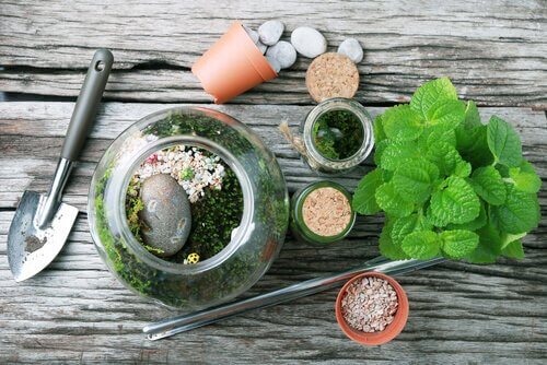 Terrarien aus Glasflaschen