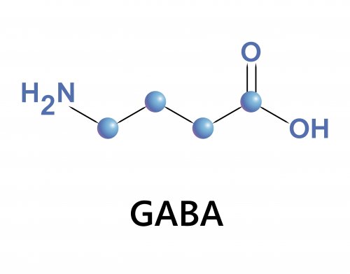 GABA